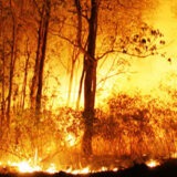 Safety Alert: Burning Horizon