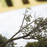 Power Outage: Localized Weather Crisis